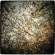 Horse Feathers - Thistled Spring Lp Horse Feathers - Thistled Spring Lp