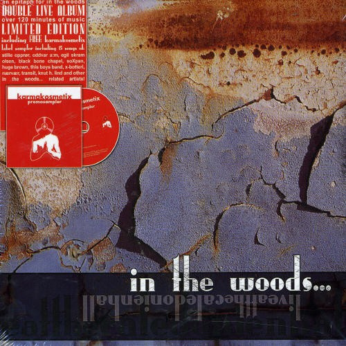 In The Woods - Live At The Caledonian Hall