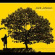 Jack Johnson - In Between Dreams Jack Johnson - In Between Dreams