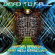 Dead To Fall - Are You Serious? Dead To Fall - Are You Serious?