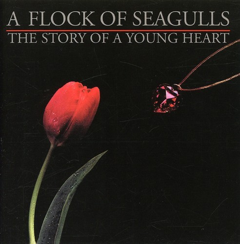 A Flock Of Seagulls - Story Of A Young Heart