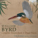 Byrd William - Complete Harpsichord & Organ Music Byrd William - Complete Harpsichord & Organ Music