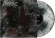 Phobophilic - Eveloping Absurdity (Cream/Black Ga Phobophilic - Eveloping Absurdity (Cream/Black Ga
