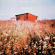 Takase Aki Trio - Song For Hope Takase Aki Trio - Song For Hope