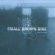 Small Brown Bike - Dead Reckoning Small Brown Bike - Dead Reckoning
