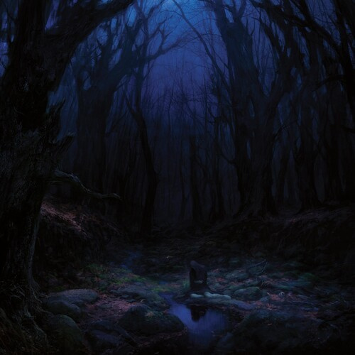 Woods Of Desolation - Torn Beyond Reason (Vinyl Lp)