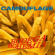 Camouflage - Bodega Bohemia Camouflage - Bodega Bohemia