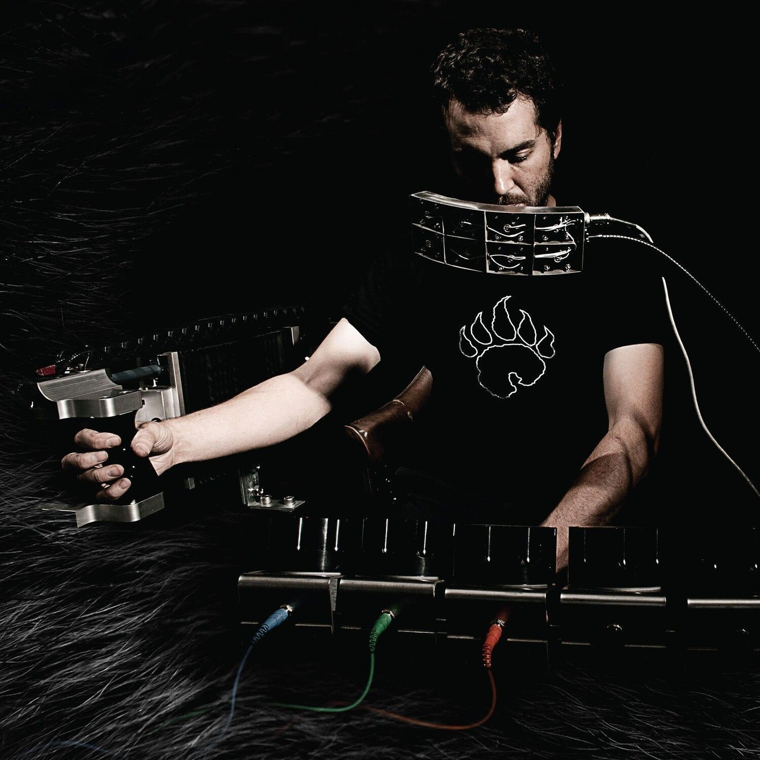 Author & Punisher - Ursus Americanus