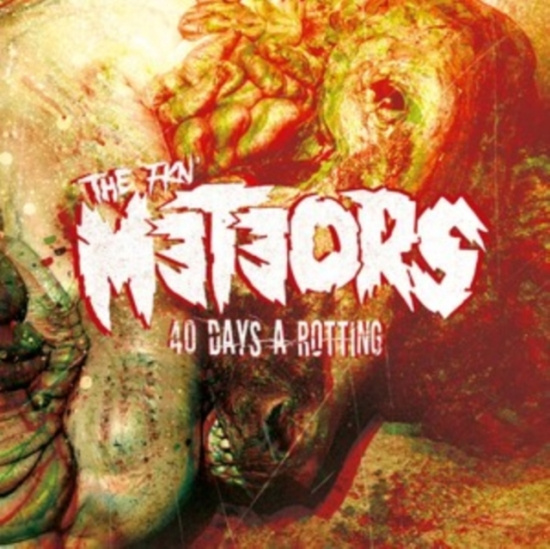 Meteors The - 40 Days A Rotting (Black Vinyl Lp)