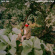 Pale Jay - Low End Love Songs Pale Jay - Low End Love Songs