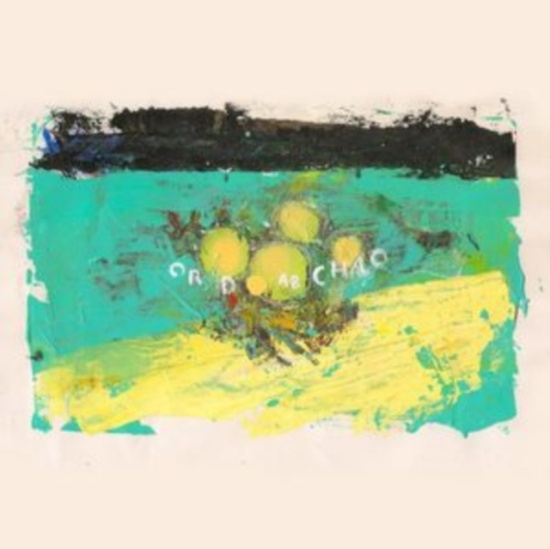 Big Ups - Eighteen Hours Of Static (Tin Vinyl