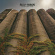 Blue Heron - Everything Fades Blue Heron - Everything Fades