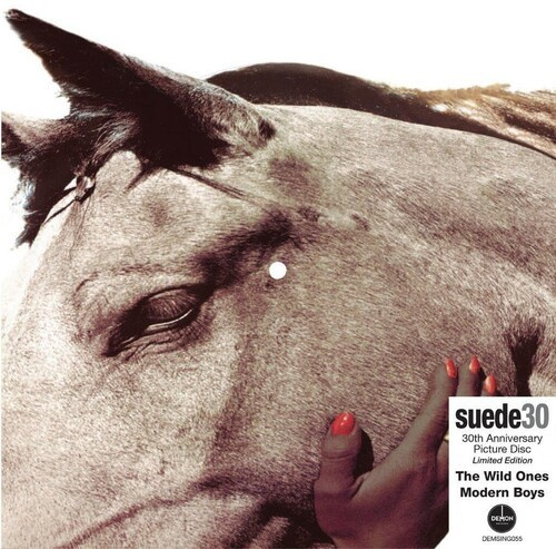 Suede - The Wild Ones (30Th Anniversary Edi