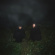 O'o - Songs Of Wishes And Bones O'o - Songs Of Wishes And Bones