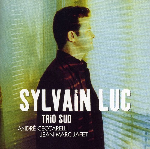 Sylvain Luc - Trio Sud