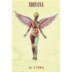 Nirvana - In Utero  91,5 X 61 Cm