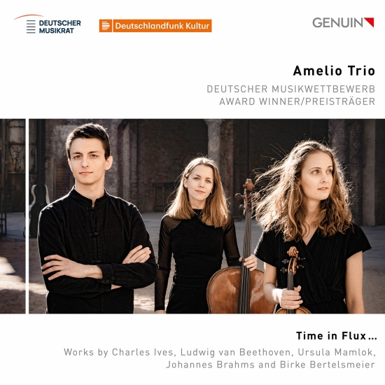 Amelio Trio - Time In Flux…