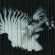 Scaler - Endlessly Scaler - Endlessly