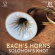 Solomon's Knot - Bach's Horns Solomon's Knot - Bach's Horns