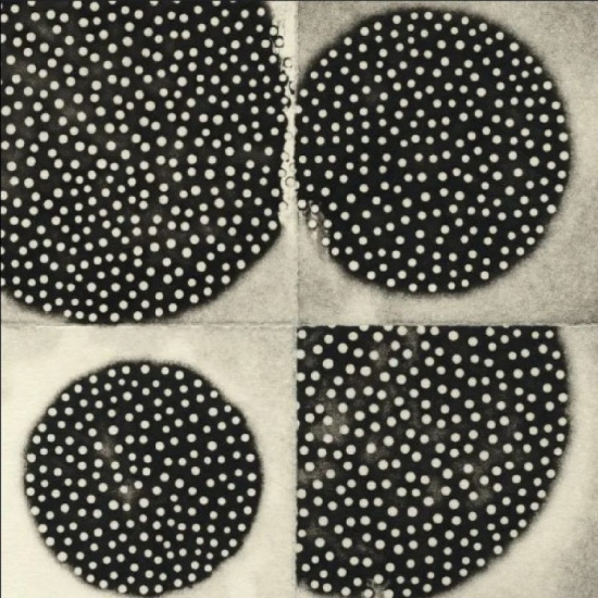 Leimer K. - Resting Forms