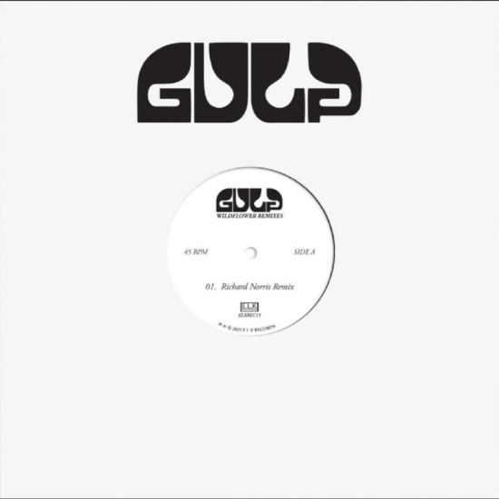 Gulp - Wildflower (Remixes)