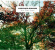 Ludovico Einaudi - In A Time Lapse Ludovico Einaudi - In A Time Lapse