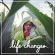 Casey Veggies - Life Changes Casey Veggies - Life Changes