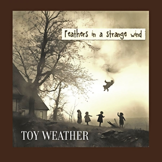 Toy Weather - Feathers In A Strange Wind