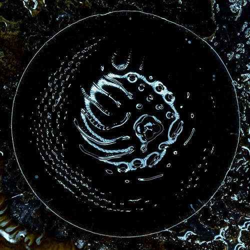 Stonus - Stonus