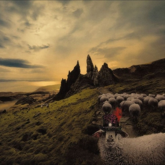 Franck Carducci - Sheeple - Vinyl Edition