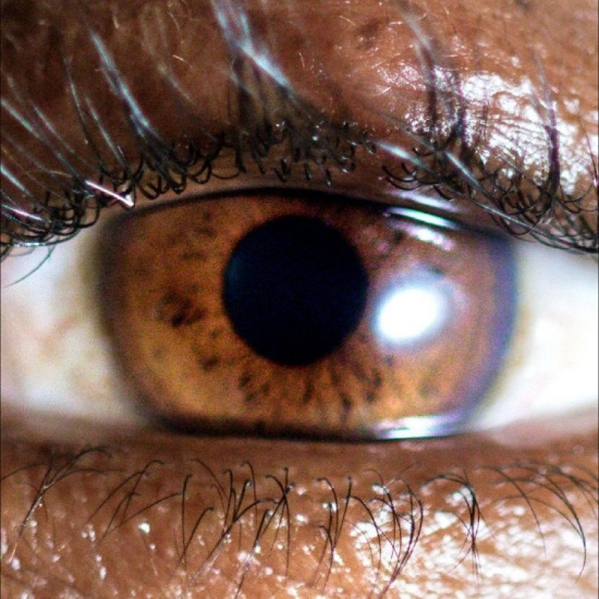 Evadney - It?S Dreaming