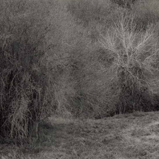 Leimer K. - Atrophies For Piano