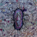 Mindless Self Indulgence - How I Learned To Stop Giving A Shit And Love Msi Mindless Self Indulgence - How I Learned To Stop Giving A Shit And Love Msi