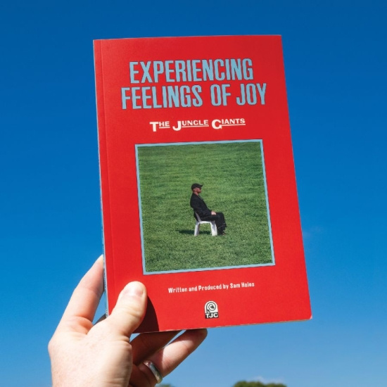 Jungle Giants The - Experiencing Feelings Of Joy