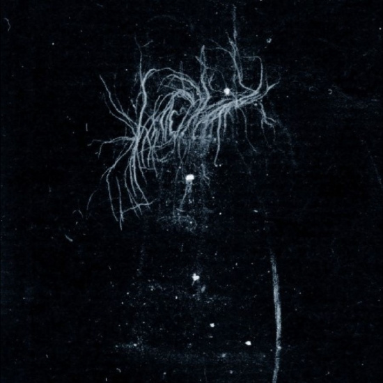 My Heart An Inverted Flame - My Death Is More Beautiful Than You