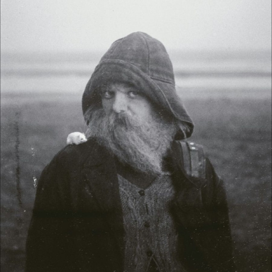 Mary In The Junkyard - Role Model Hermit