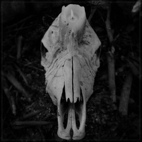 Worsen - Cursed To Witness Life (Vinyl Lp)