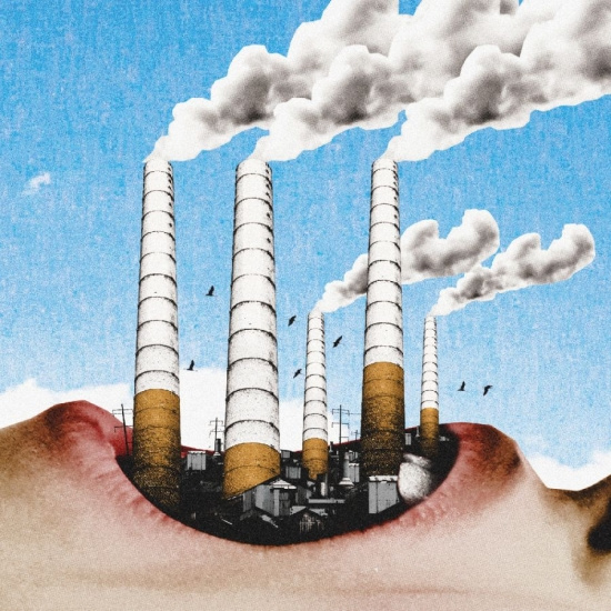 Kant - Qualm / Vicious Circle