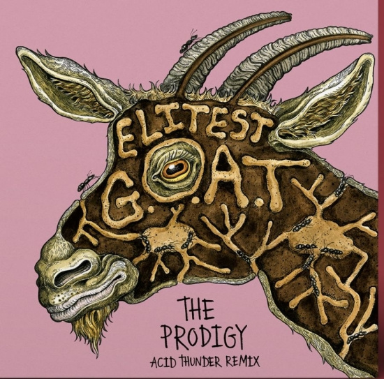 Sleaford Mods - Elitest G.O.A.T - The Prodigy Acid