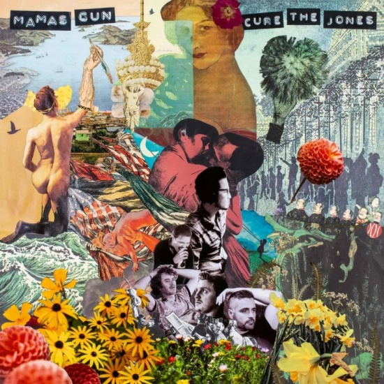 Mamas Gun - Cure The Jones