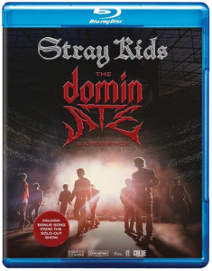 Stray Kids - The Dominate Experience