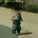 Evan Fong - Speed Vinyl Evan Fong - Speed Vinyl