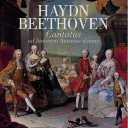 Haydn/Beethoven - Cantatas