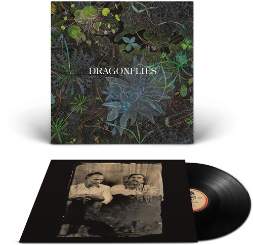 The Dragonflies - Dragonflies (Vinyl)