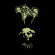 Taphos - Demo Mmxvi & Ep Mmxvii Taphos - Demo Mmxvi & Ep Mmxvii