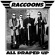 The Raccoons - All Draped Up The Raccoons - All Draped Up