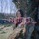 Shitkid - The Essential (Vol. 2) Shitkid - The Essential (Vol. 2)