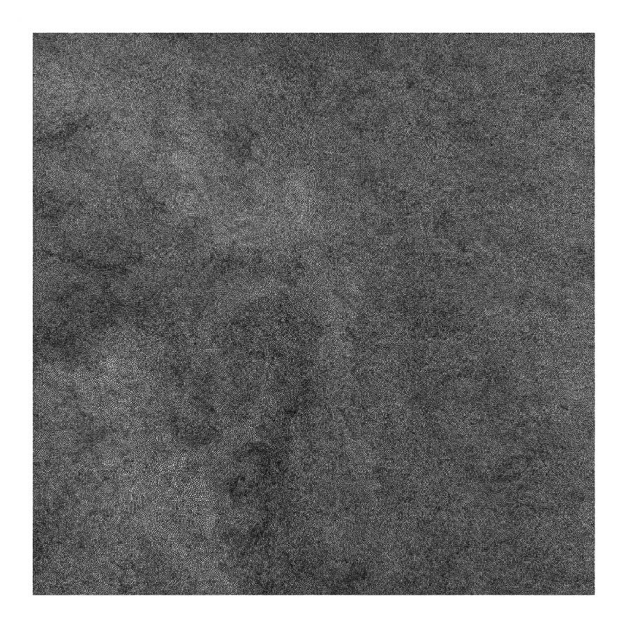 Body The & Cel Genesis - Whole Wide World (Indie Exclusive,
