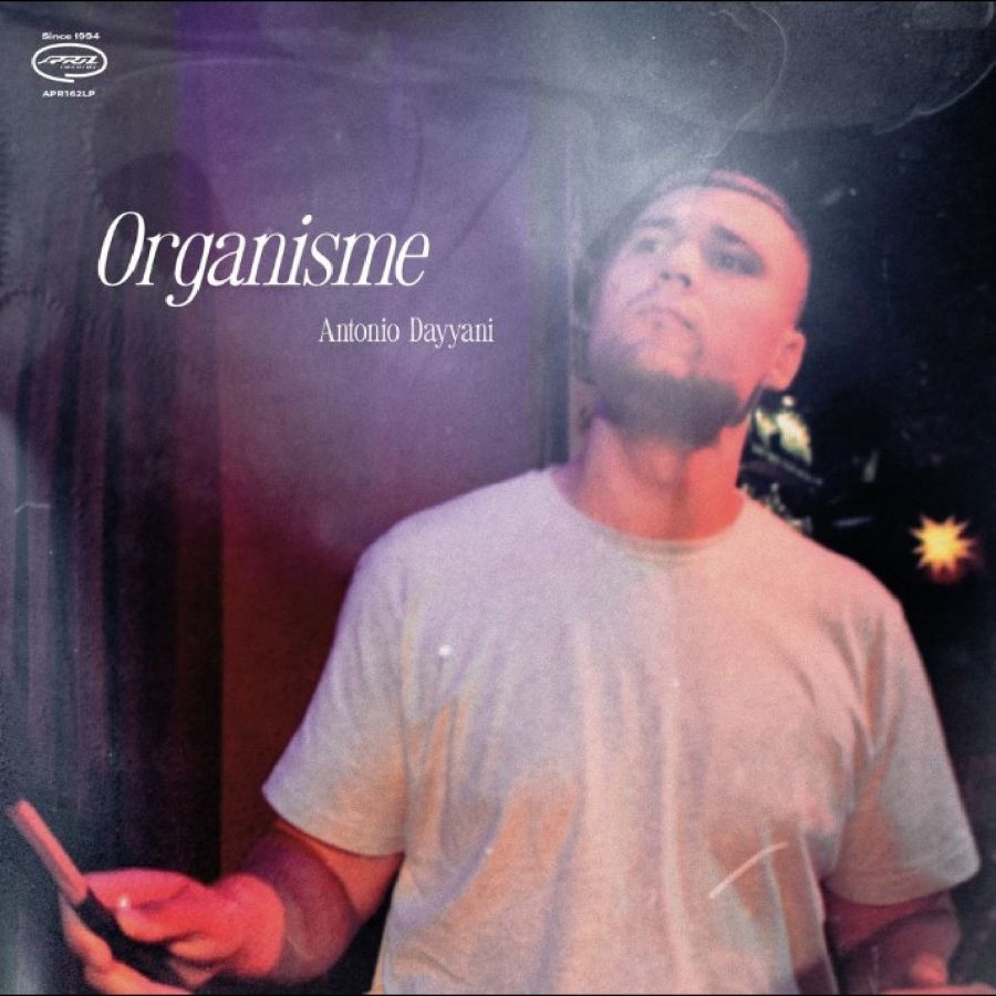 Antonio Dayyani - Organisme