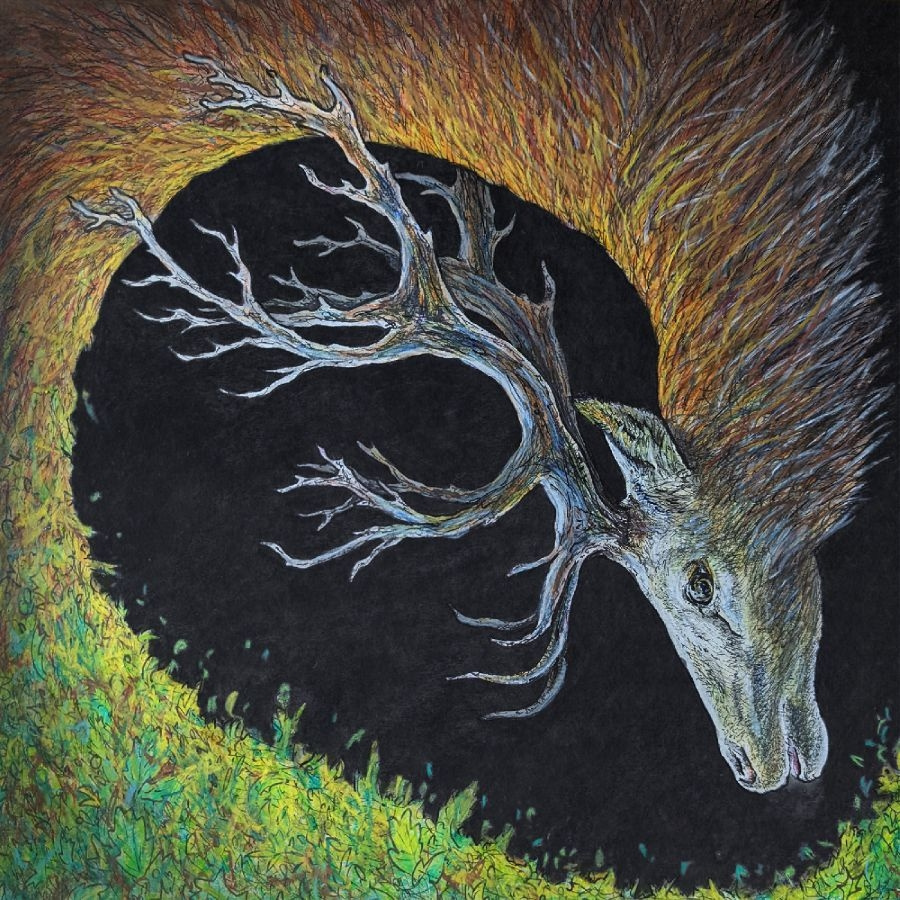 Petrels - Infangthief